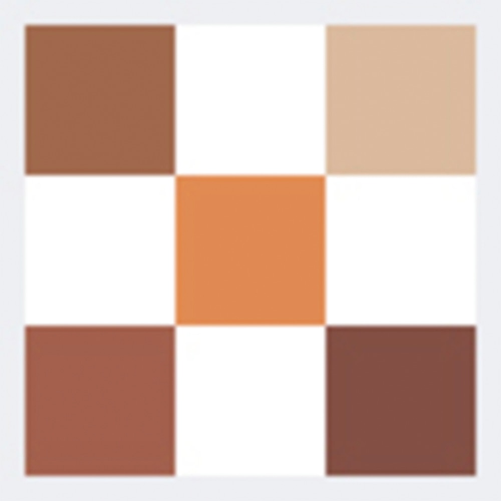 5 COULEUR EYE SHADOW (PALETA DE SOMBRAS PARA OJOS)